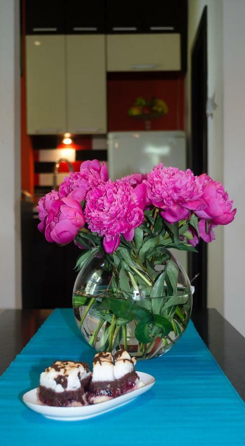 Apartament Sopot Kamienny Potok 외부 사진